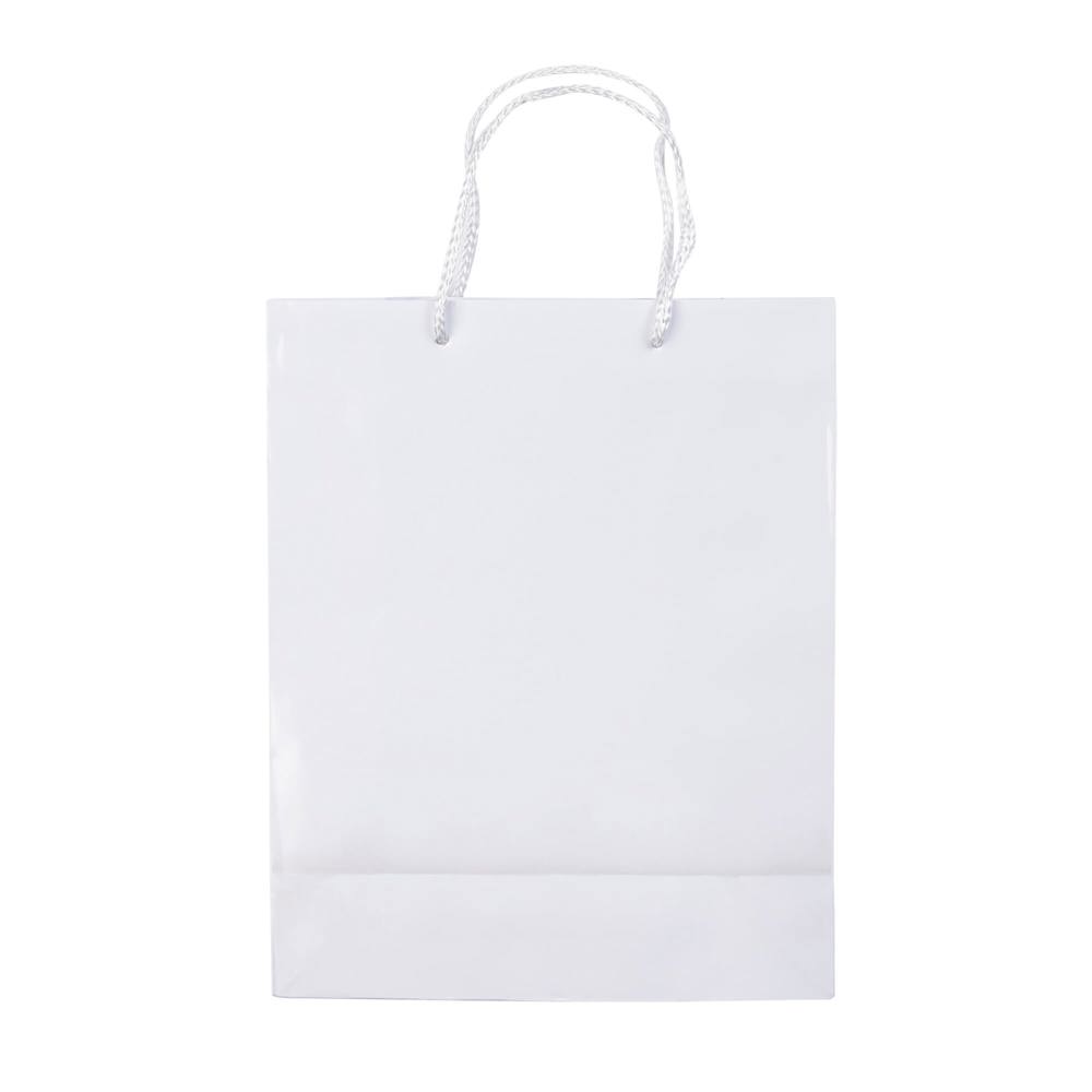 Paper bag medium